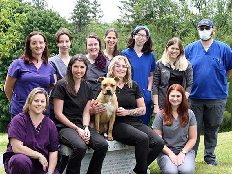 Pittsfield Veterinary Jobs MA Veterinary Employment Opportunities